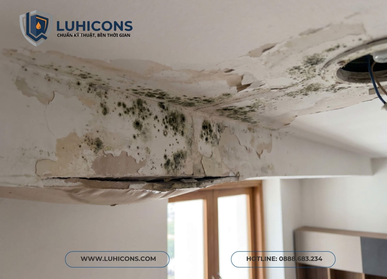 https://luhicons.com/dich-vu-chong-tham/